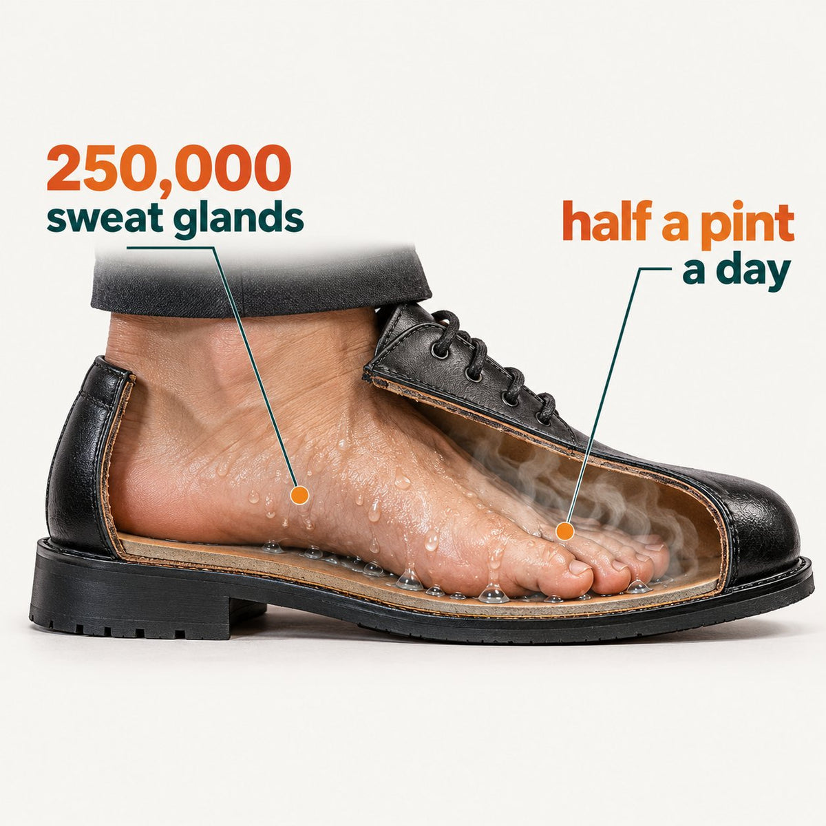 Why foot smell comes back: sweat trapped between the toes in a closed shoe is broken down into the cheesy smell